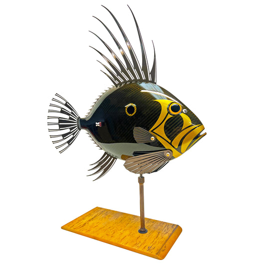 Gold Carbon Fibre John Dory