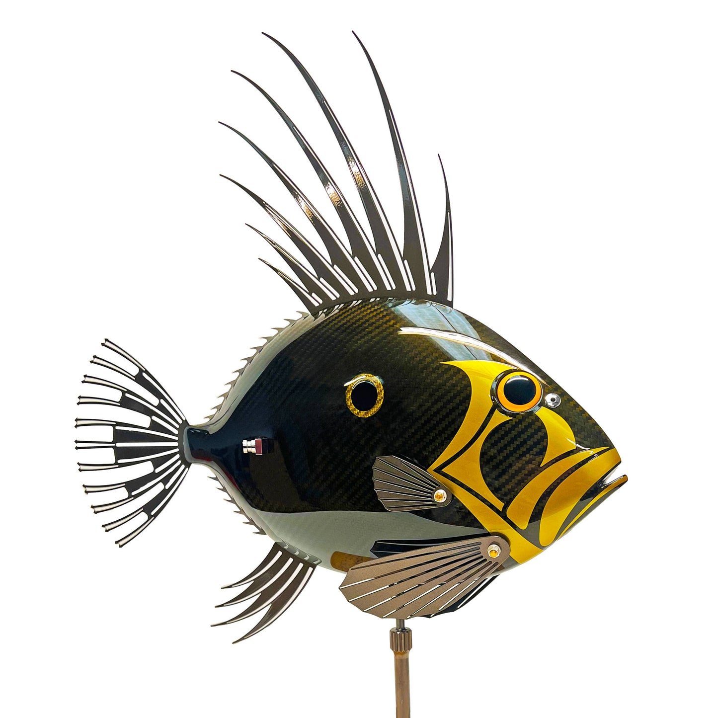 Gold Carbon Fibre John Dory