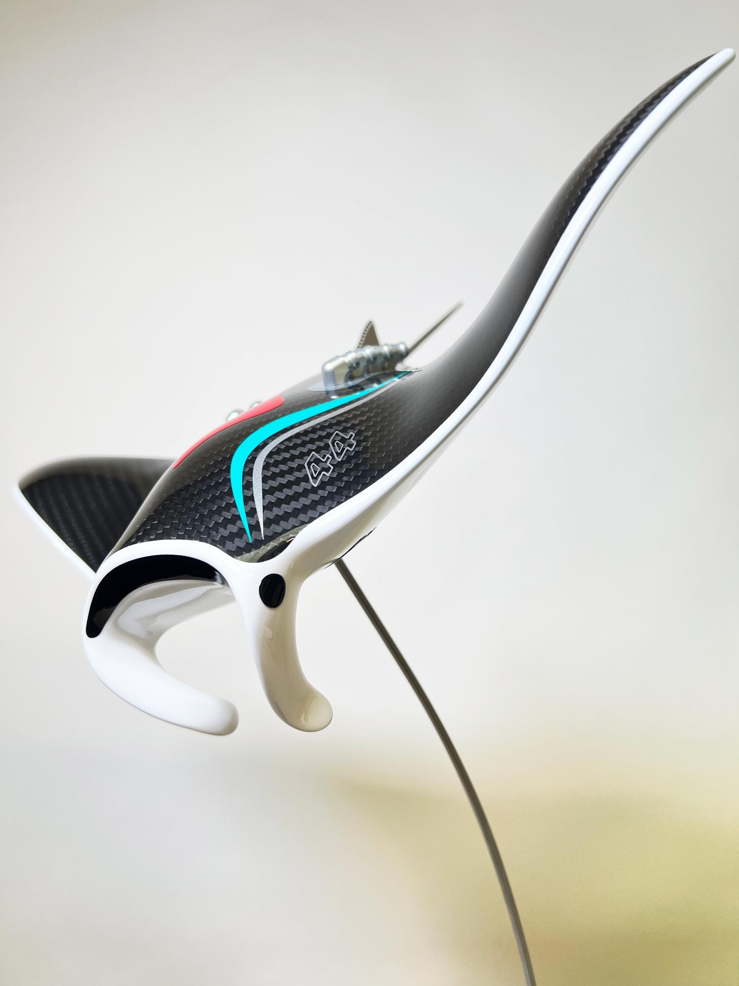 Carbon Fibre Manta Ray with Petronas F1 Livery