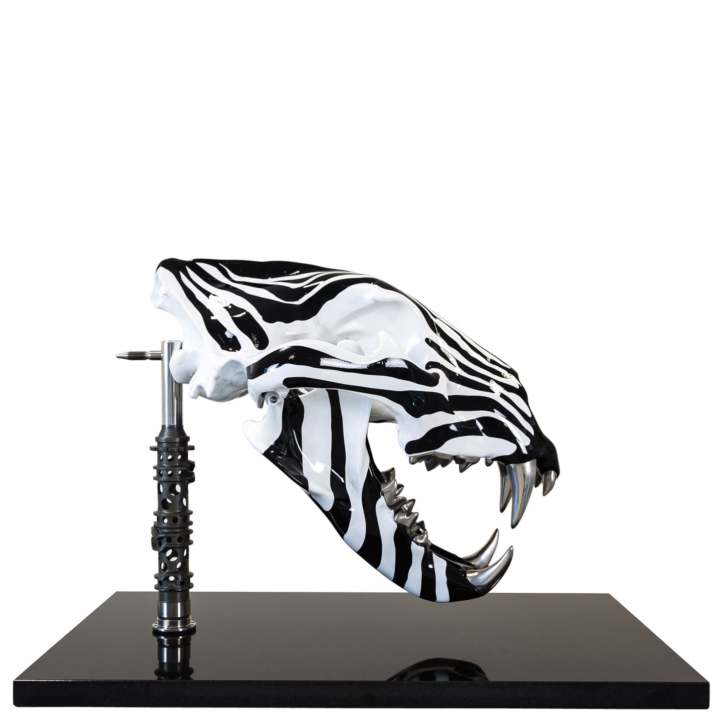 Lion skull with Zebra pattern on a granite base