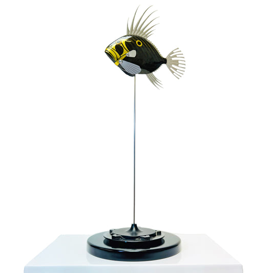 Gold carbon fibre baby dory on black base
