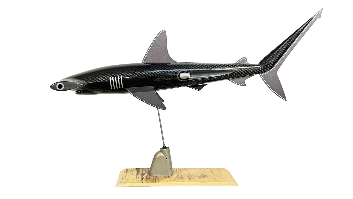 Carbon fibre Hammerhead shark pup on an F1 plank with F1 parts