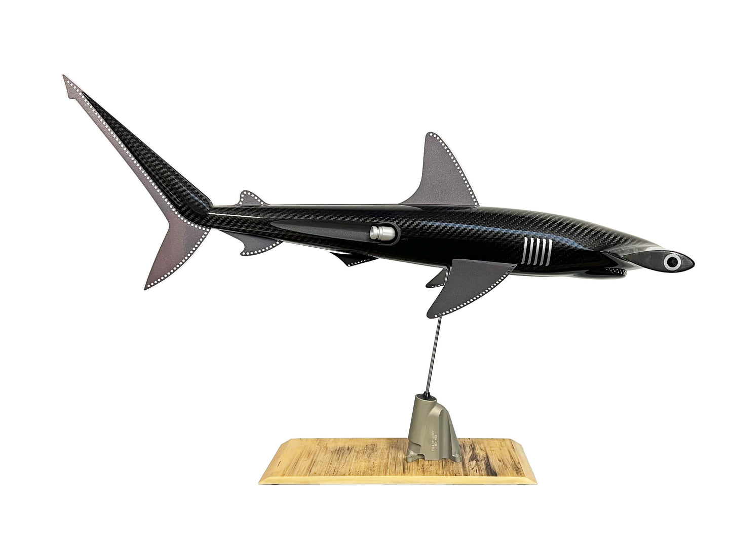 Carbon fibre Hammerhead shark pup on an F1 plank with F1 parts