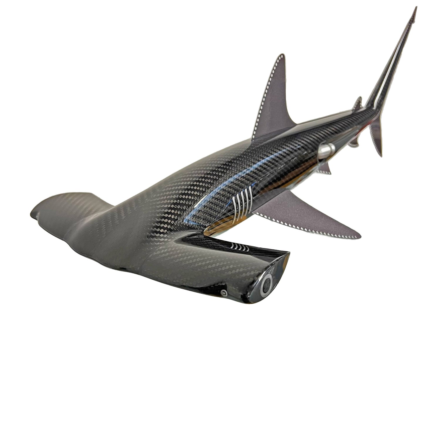 Carbon fibre Hammerhead shark pup on an F1 plank with F1 parts