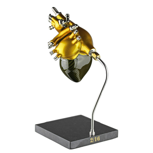 Carbon fibre Human Heart with Gold tint and gold painted detail on a granite base