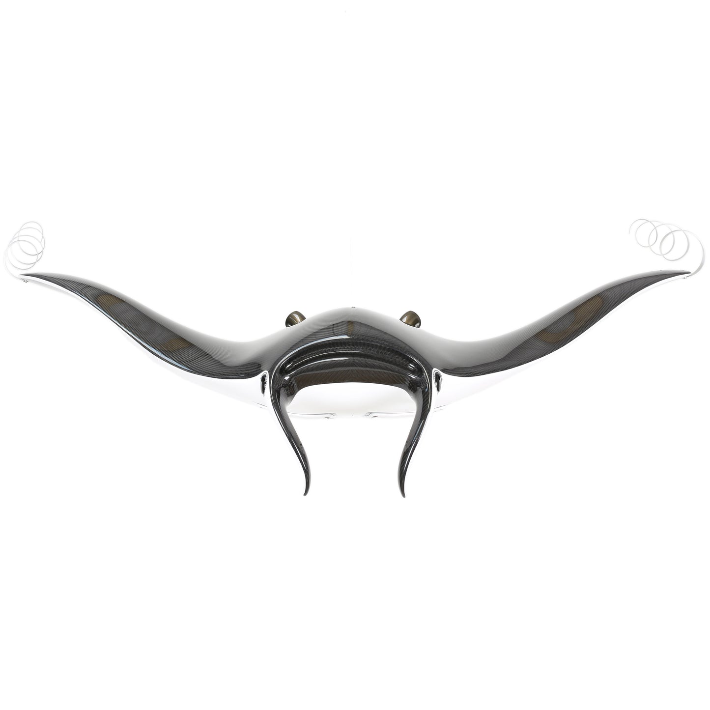 Carbon fibre Manta Ray with F1 parts