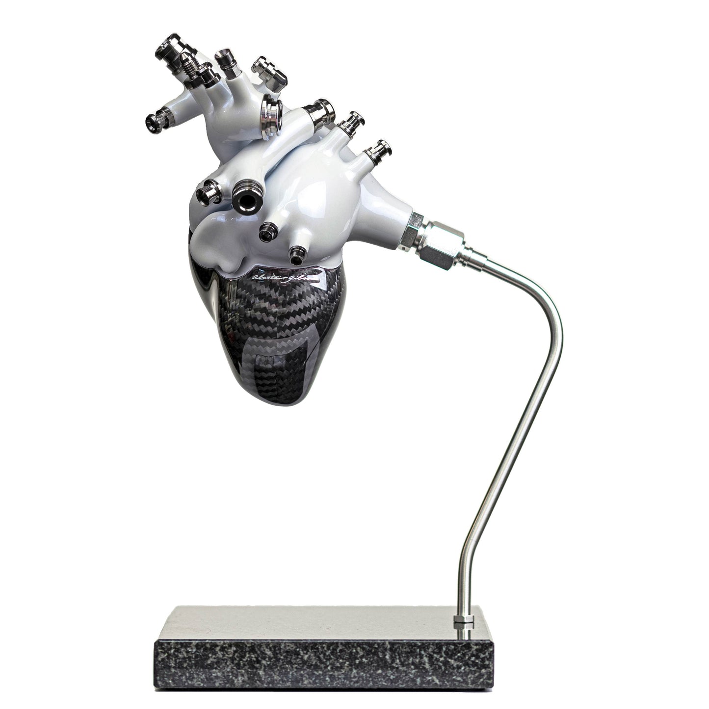 Carbon fibre human heart with white painted detail on a granite base