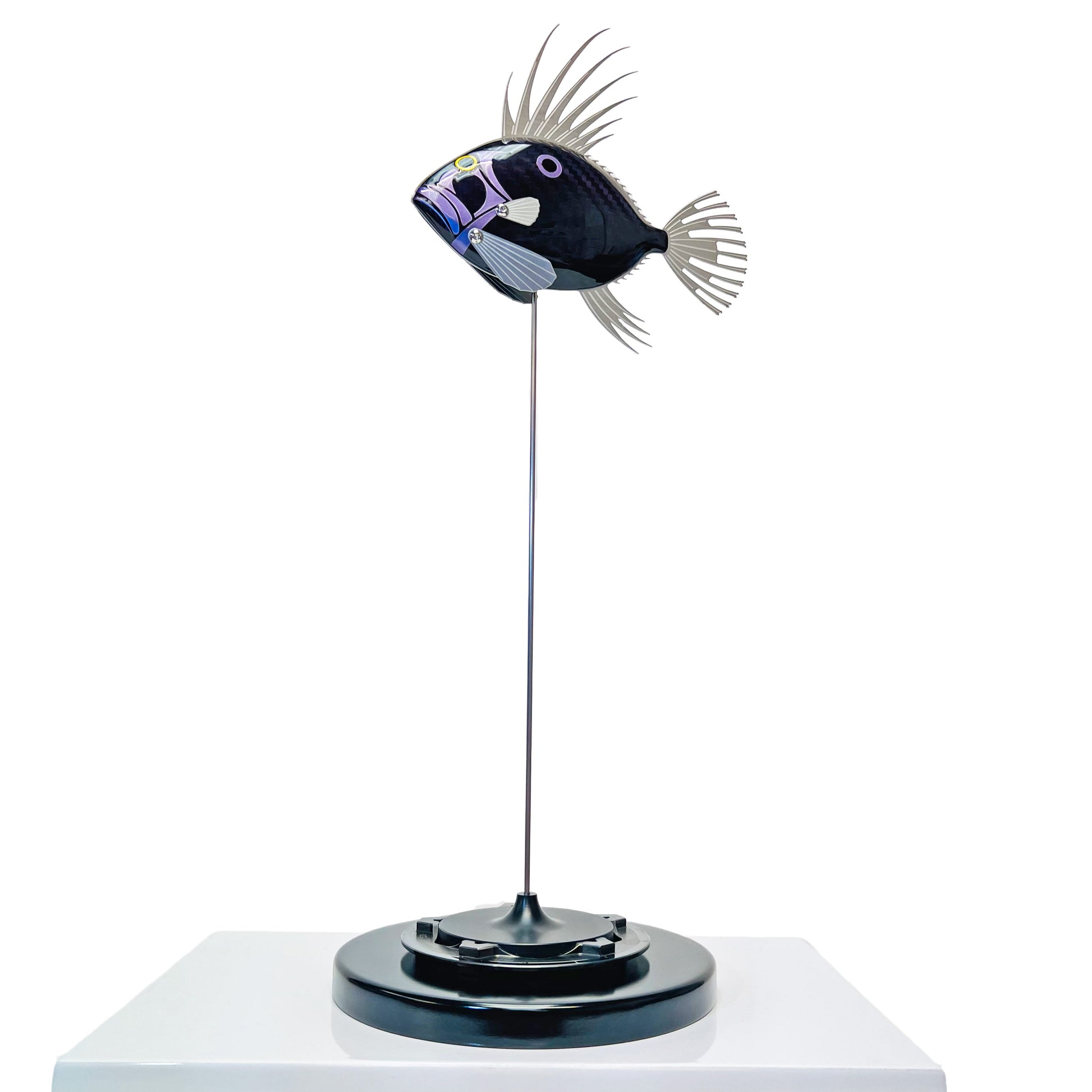 Carbon fibre purple tinted John Dory fish on a black base