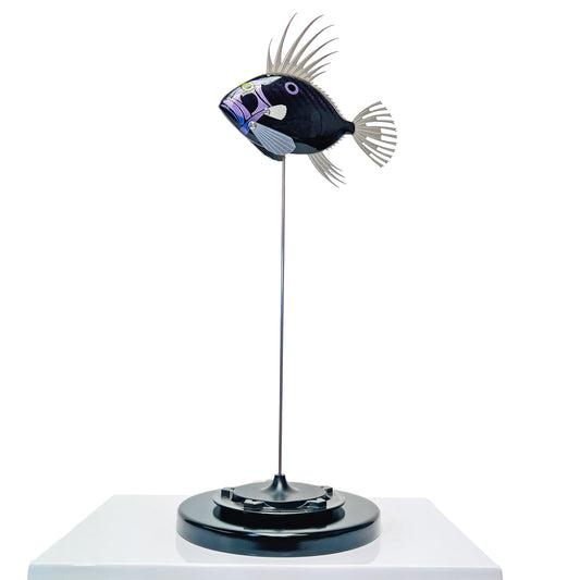 Carbon fibre purple tinted John Dory fish on a black base