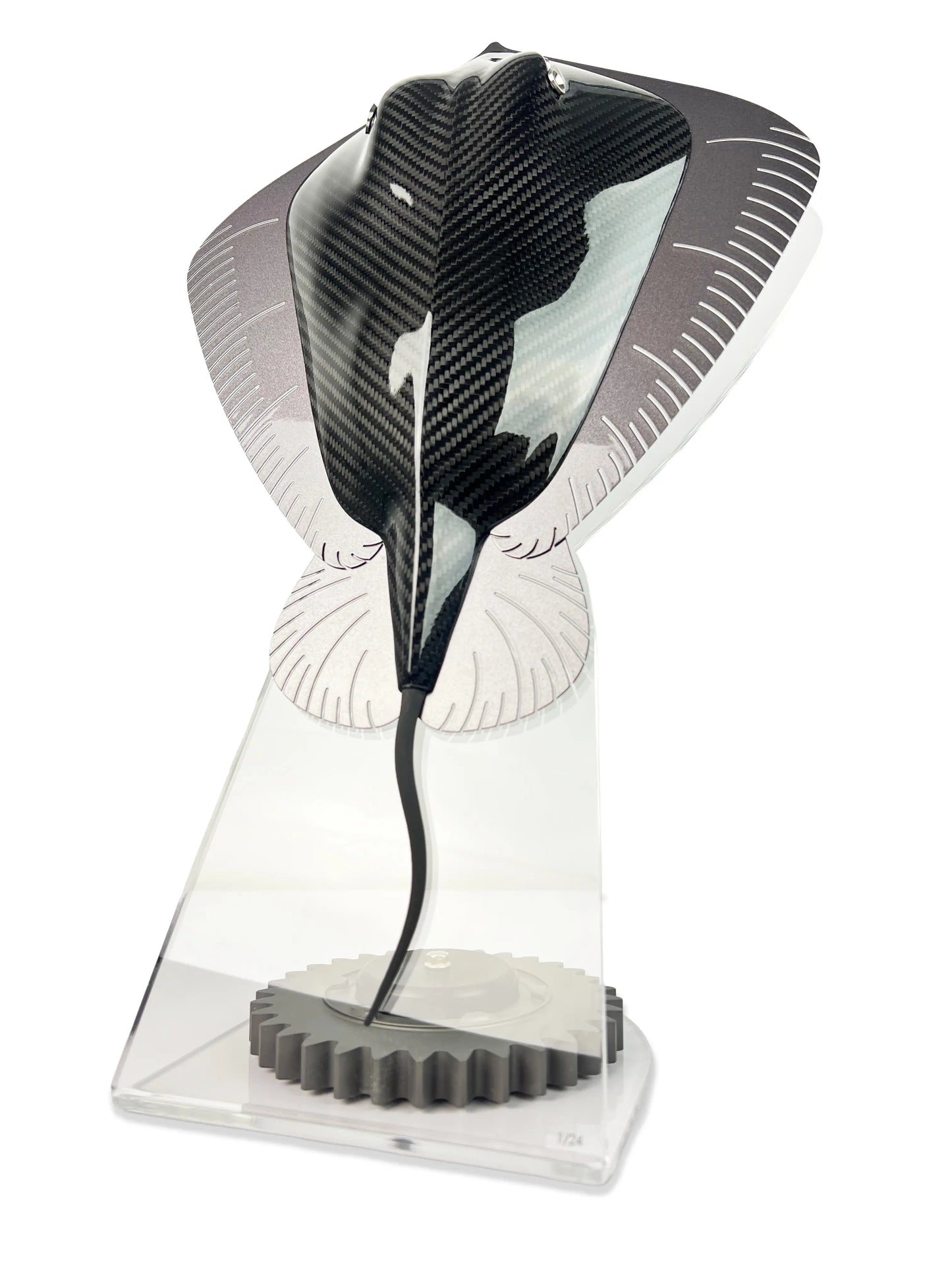 Carbon Stingray /24