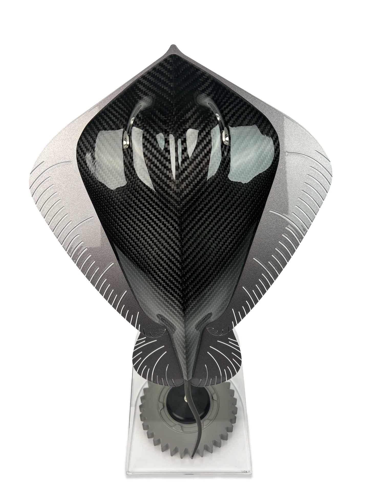 Carbon Stingray /24