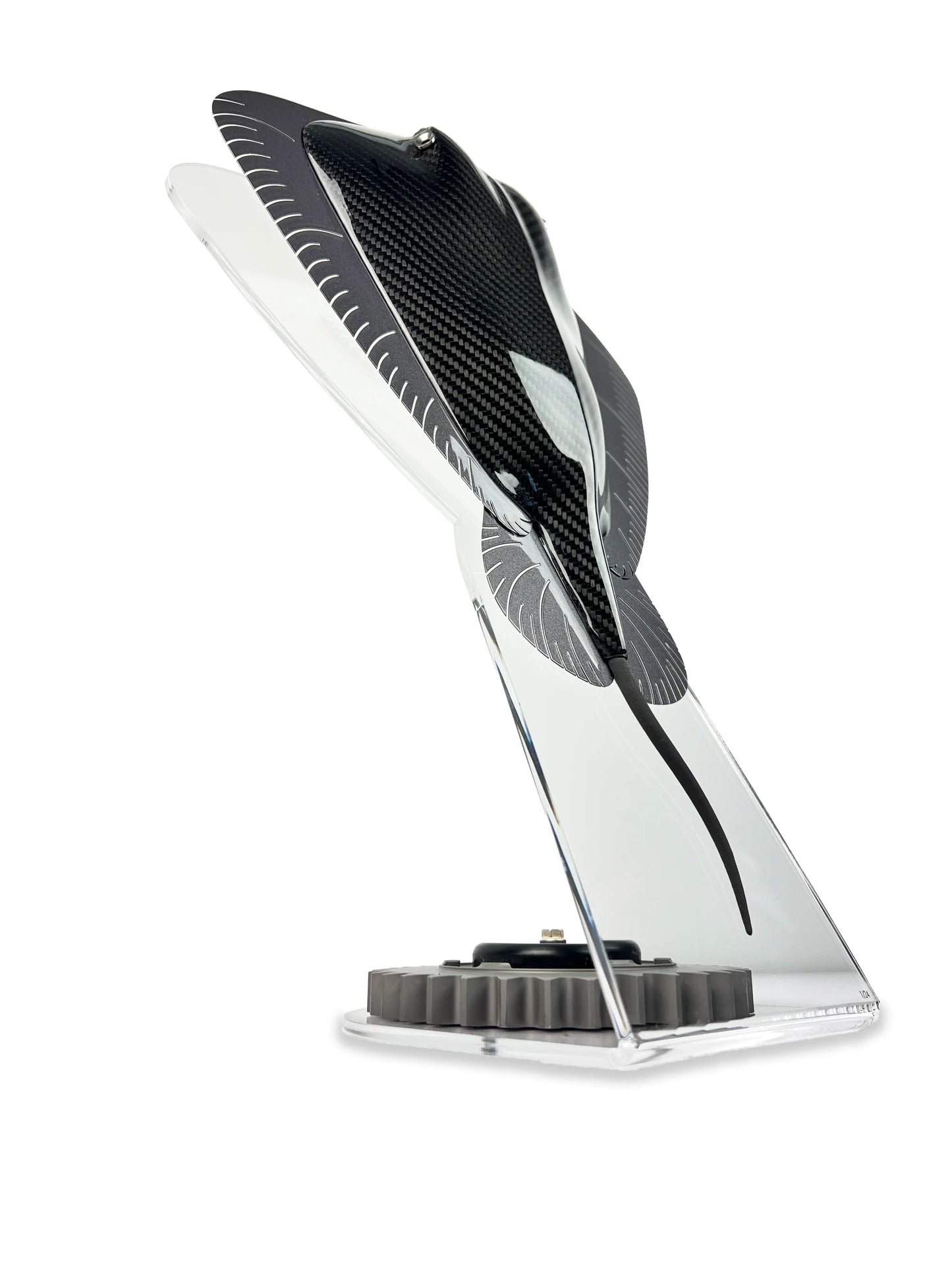 Carbon Stingray /24