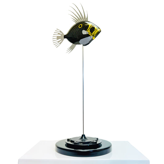 Gold carbon fibre baby dory on black base