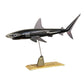 Carbon fibre Hammerhead shark pup on an F1 plank with F1 parts