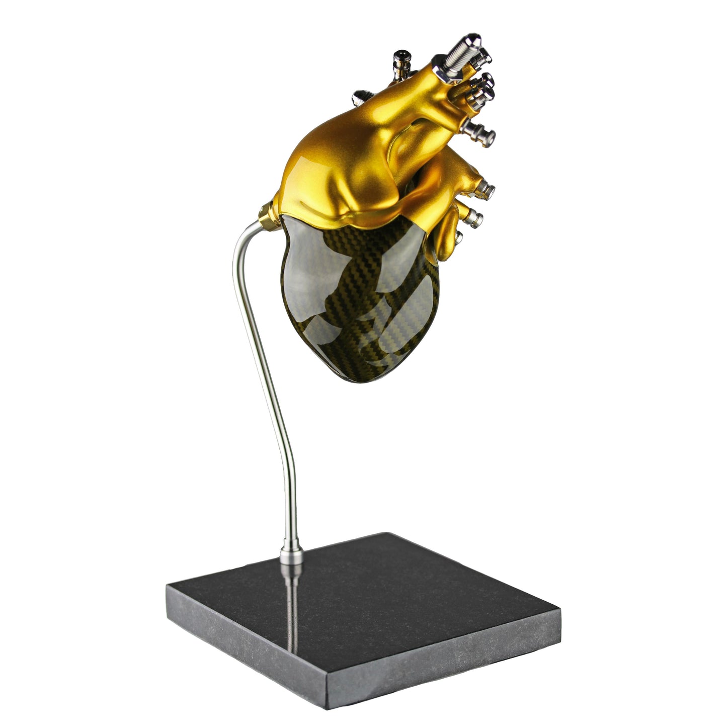 Carbon fibre Human Heart with Gold tint and gold painted detail on a granite base