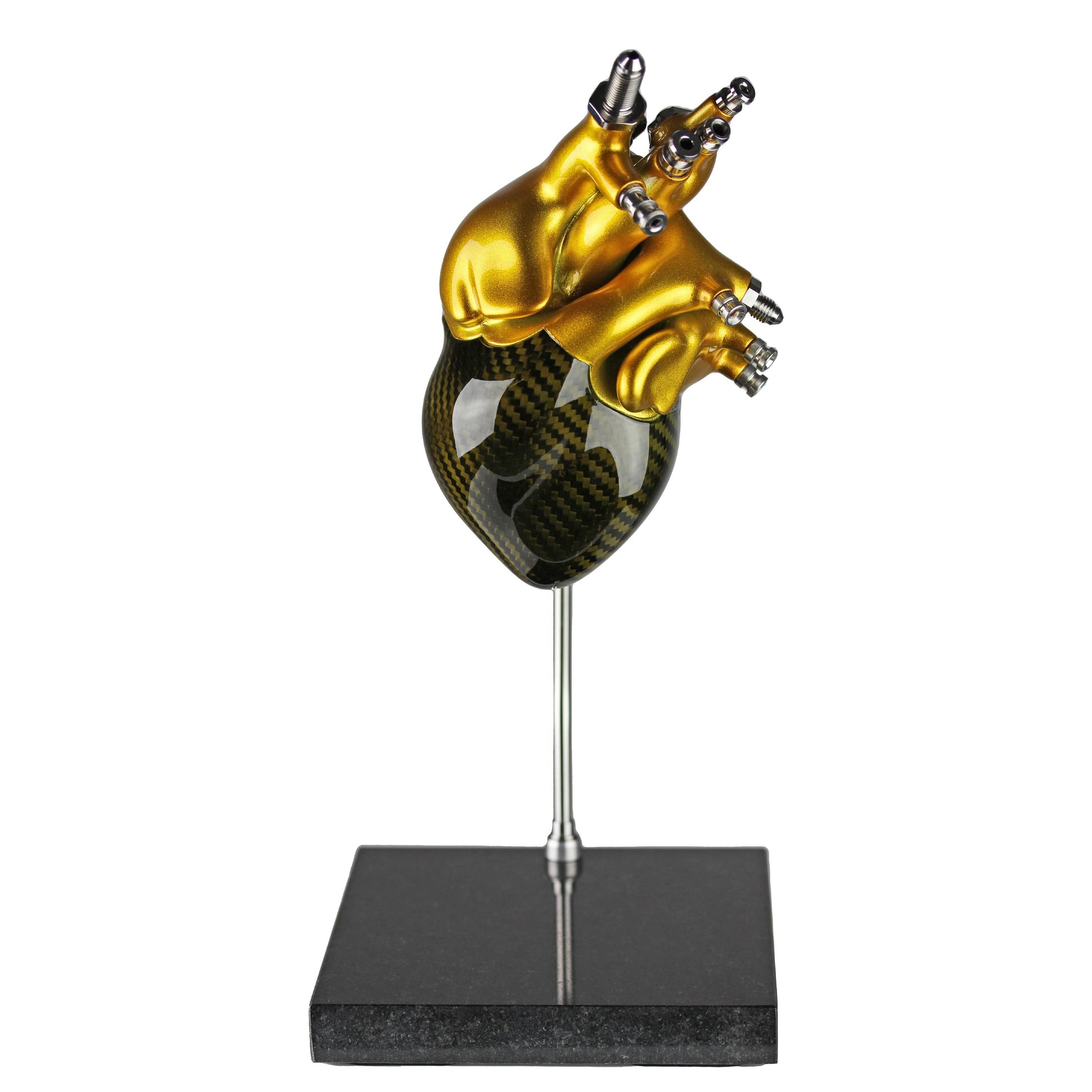 Carbon fibre Human Heart with Gold tint and gold painted detail on a granite base