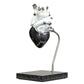 Carbon fibre human heart with white painted detail on a granite base