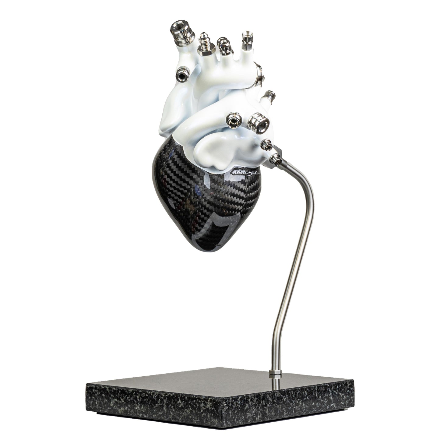 Carbon fibre human heart with white painted detail on a granite base