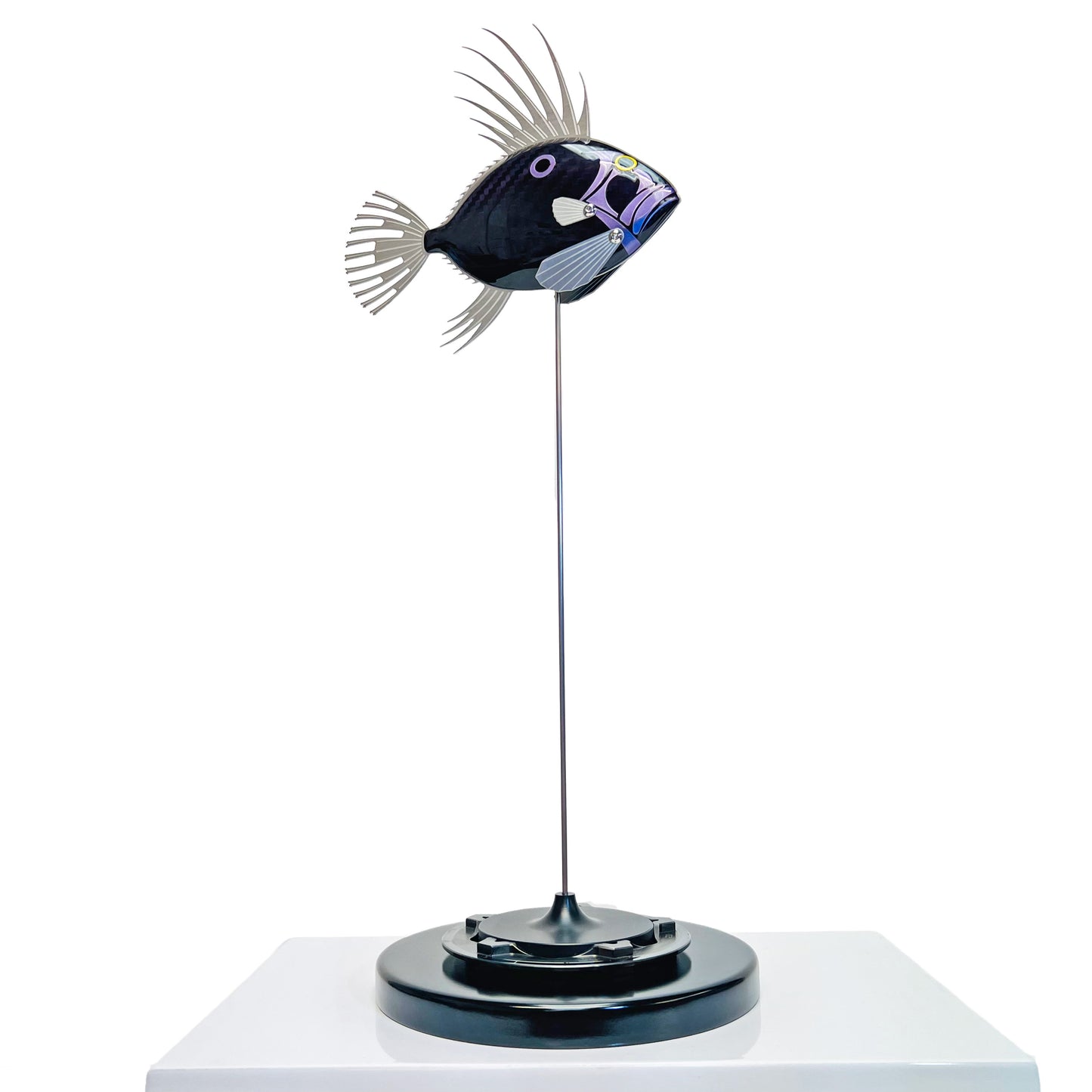 Carbon fibre purple tinted John Dory fish on a black base