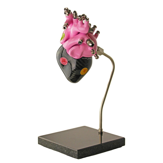 Carbon fibre human heart with Pink painted detail on a granite base